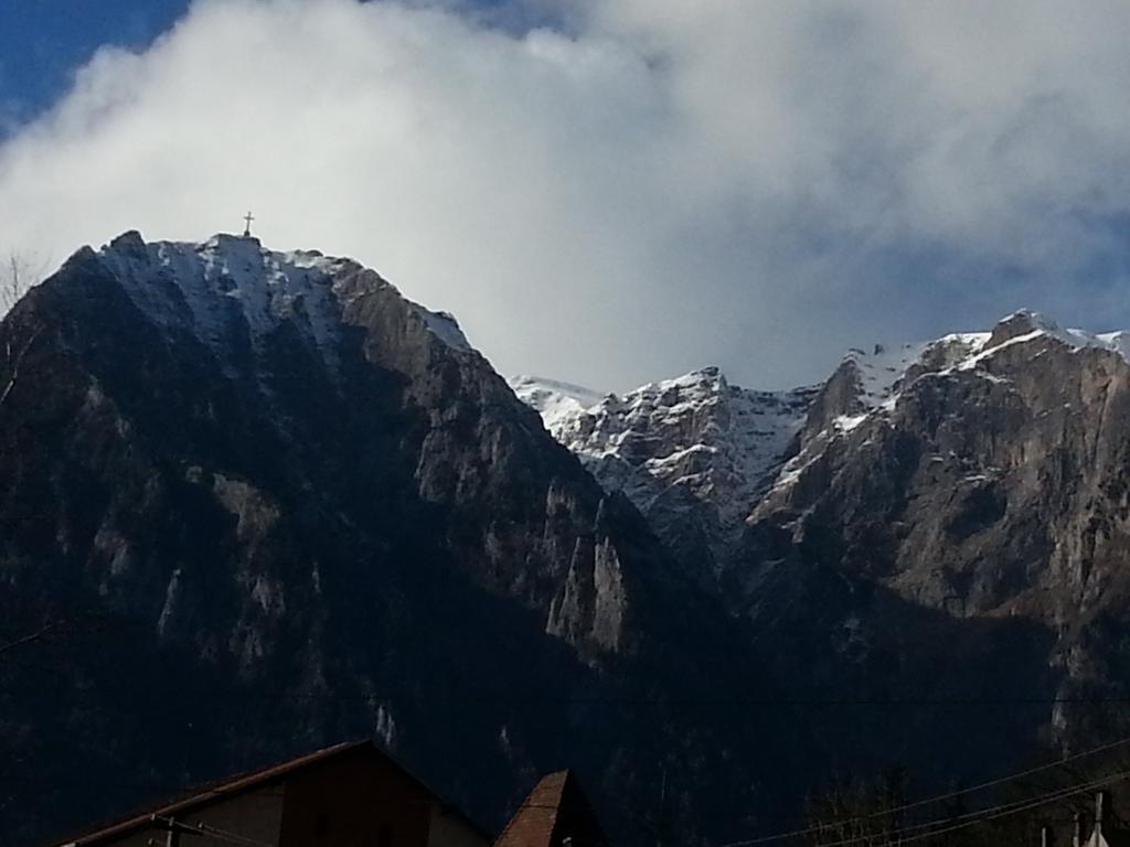 Conac Bavaria Buşteni Buitenkant foto